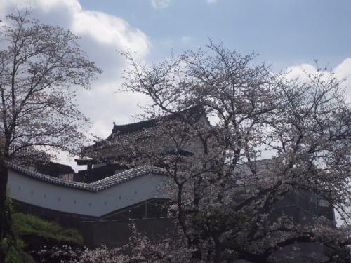 臼杵城址桜まつり 大分のイベント 祭り ふくおかサポートねっと